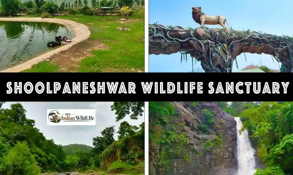 Shoolpaneshwar Wildlife Sanctuary