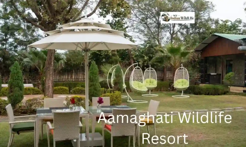 Aamaghati Wildlife Resort