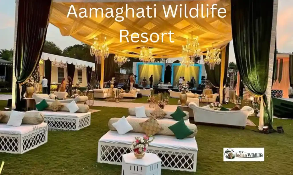 Aamaghati Wildlife Resort