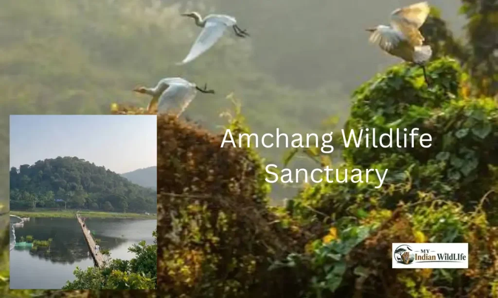 Amchang Wildlife Sanctuary