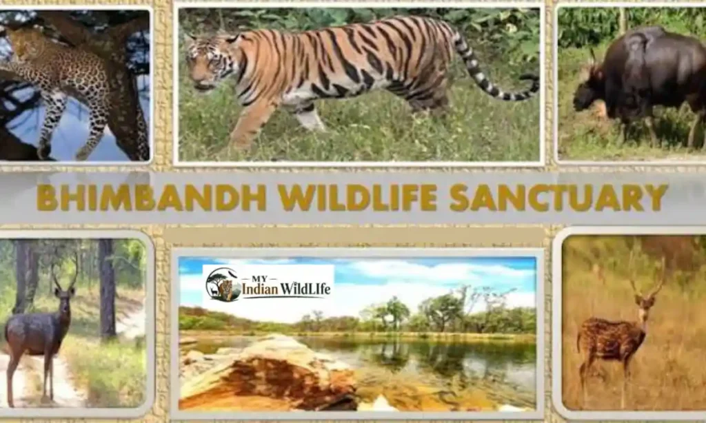 Bhimbandh Wildlife Sanctuary
