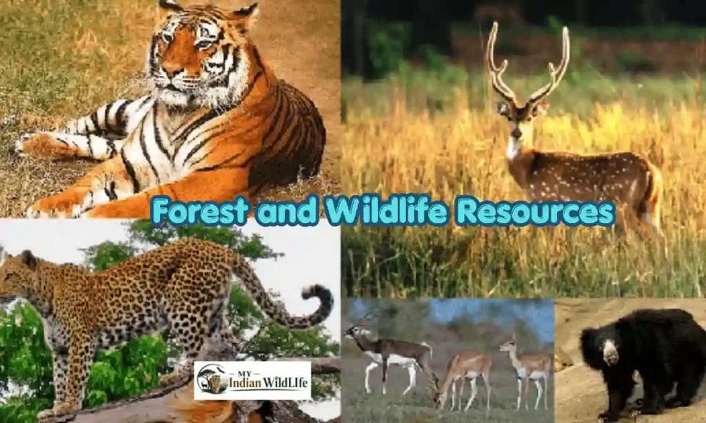Forest and Wildlife Resources