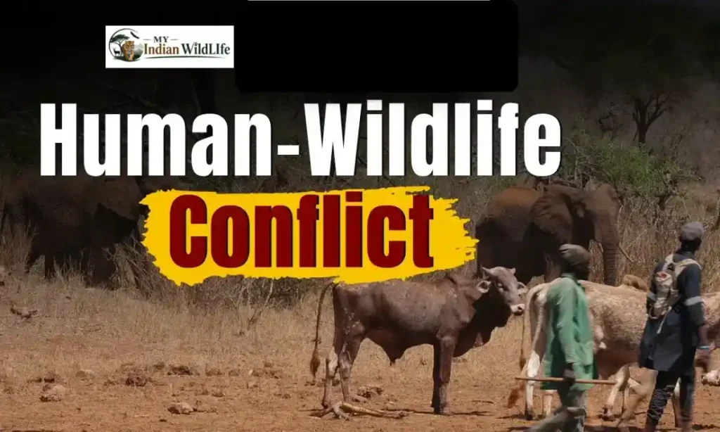 Human-Wildlife Conflict