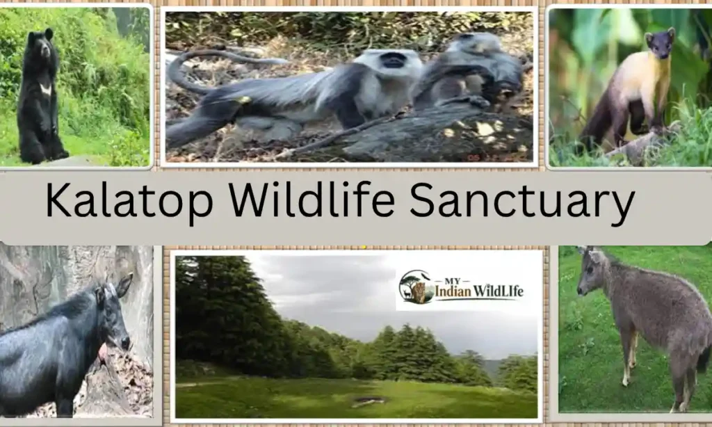 Kalatop Wildlife Sanctuary
