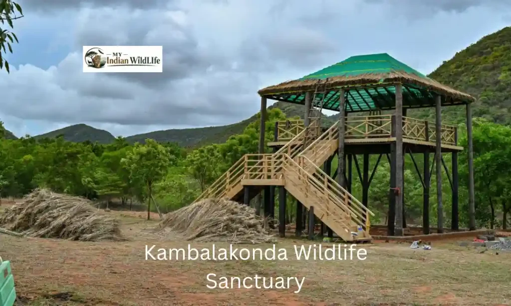 Kambalakonda Wildlife Sanctuary