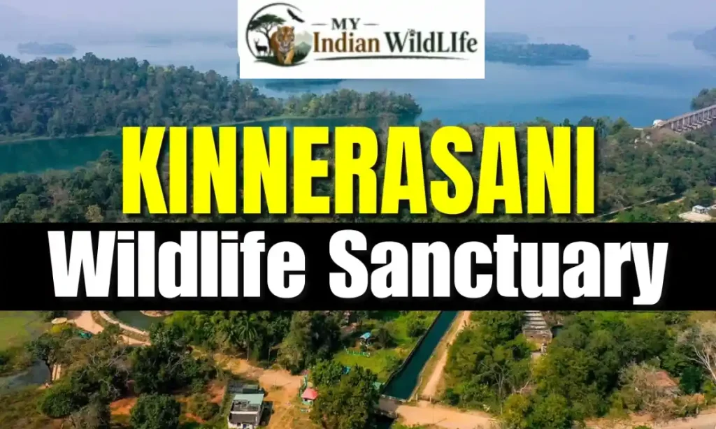 Kinnerasani Wildlife Sanctuary