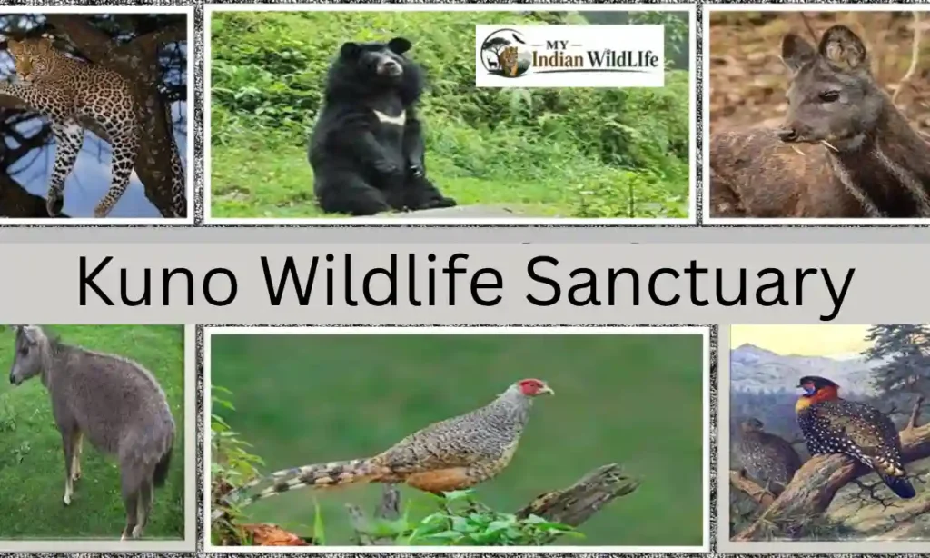 Kuno Wildlife Sanctuary