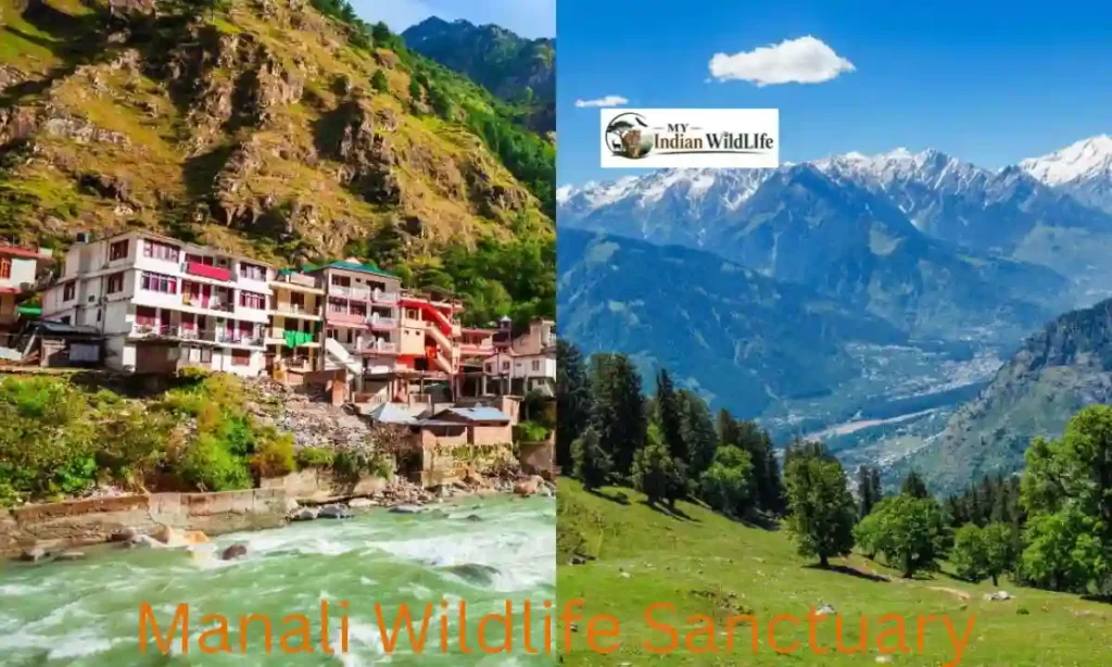 Manali Wildlife Sanctuary