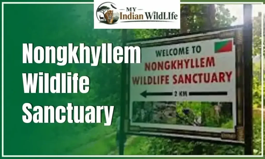 Nongkhyllem Wildlife Sanctuary