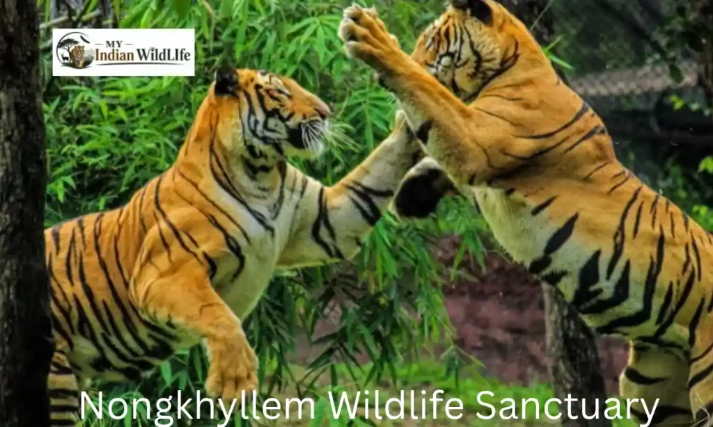 Nongkhyllem Wildlife Sanctuary