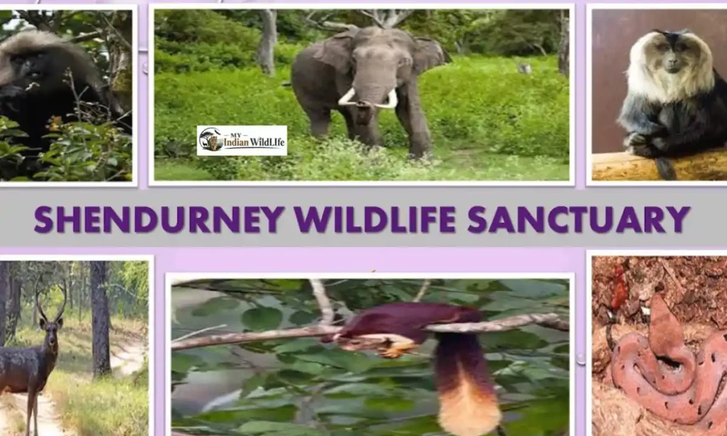 Shendurney Wildlife Sanctuary