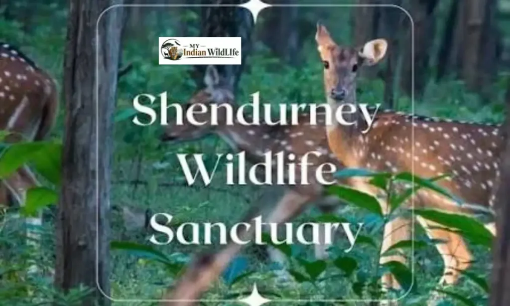 Shendurney Wildlife Sanctuary