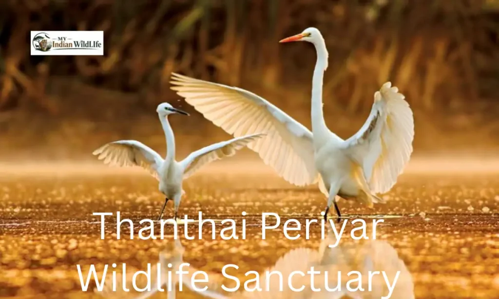 Thanthai Periyar Wildlife Sanctuary