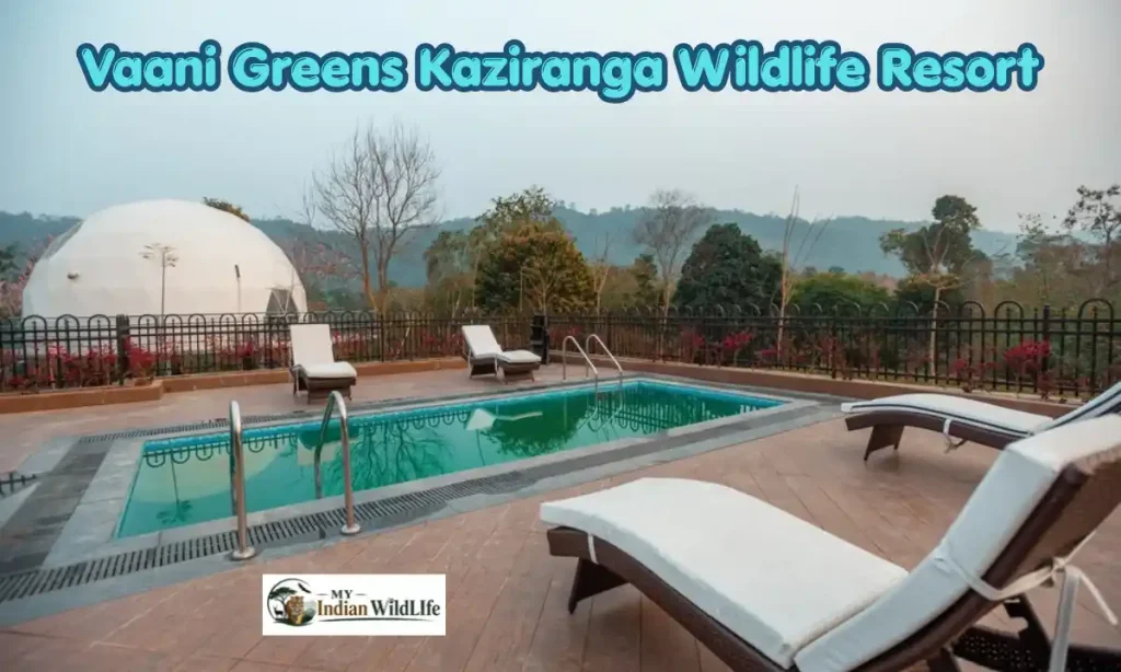 Vaani Greens Kaziranga Wildlife Resort
