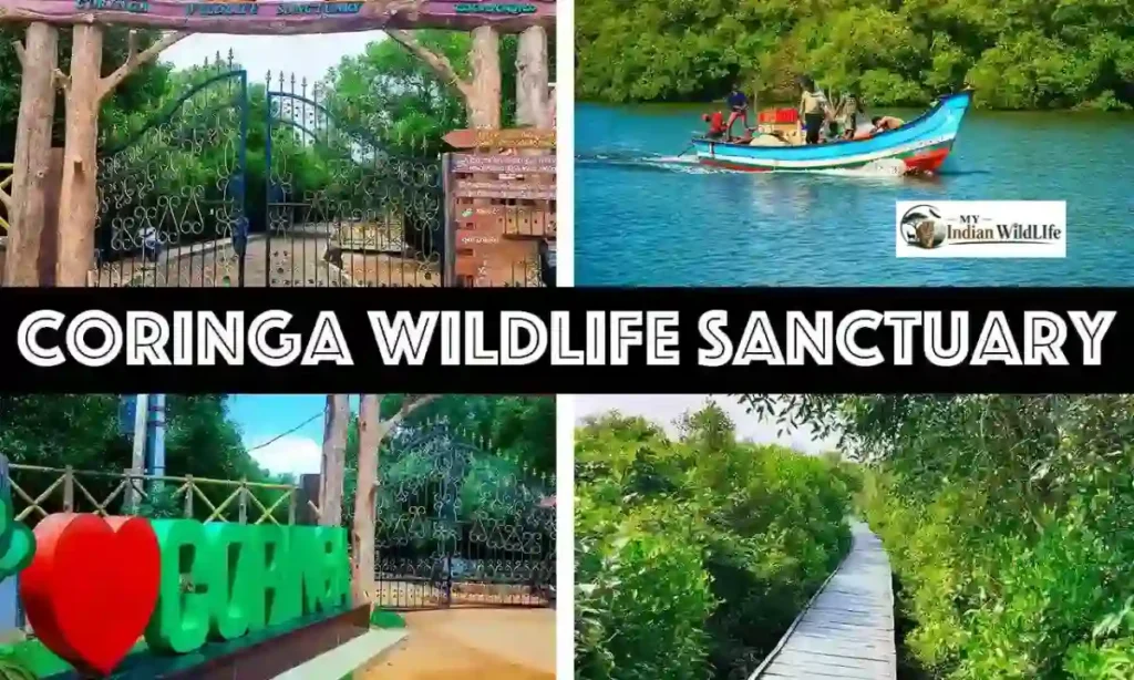 Coringa Wildlife Sanctuary