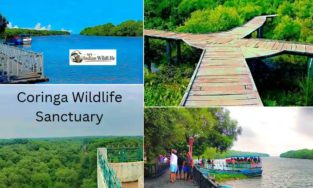 Coringa Wildlife Sanctuary