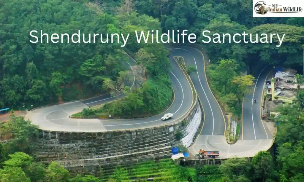 Shenduruny Wildlife Sanctuary