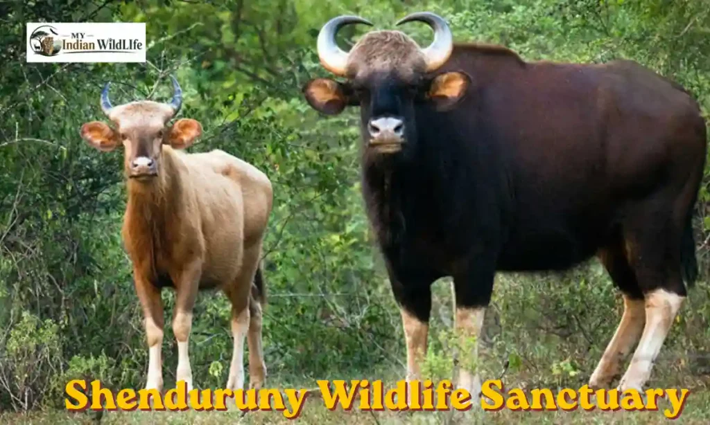 Shenduruny Wildlife Sanctuary